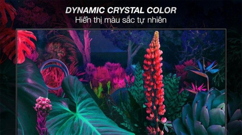 Công nghệ Dynamic Crystal Color