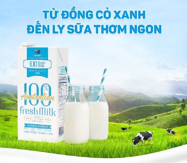 Sữa VP milk có tốt không? Có mấy loại và giá thành ra sao?