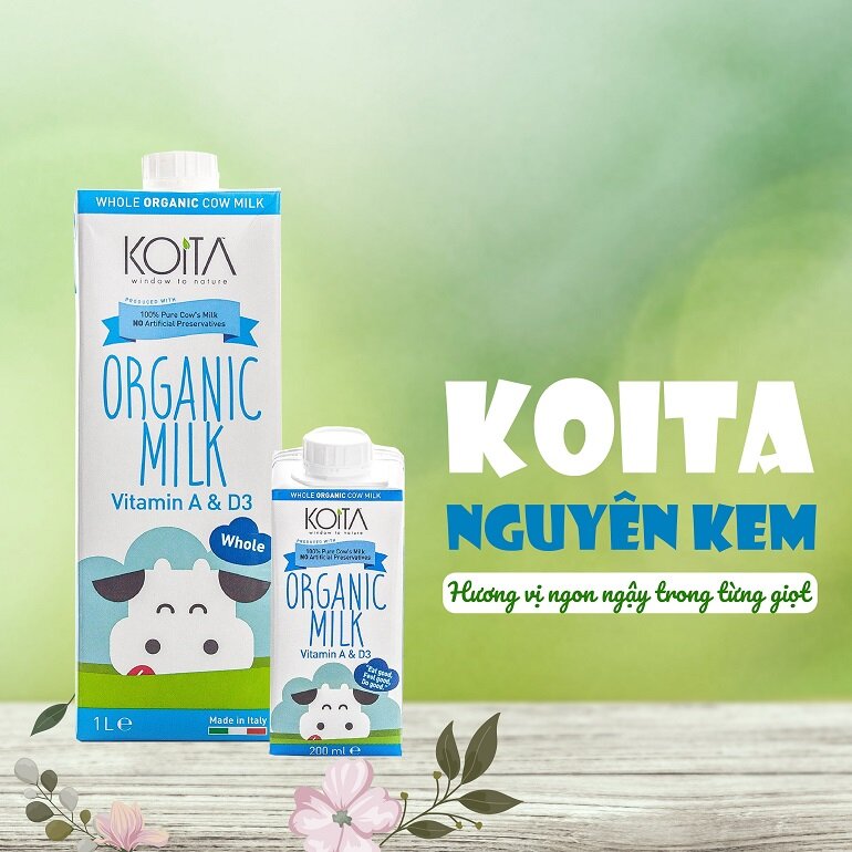 Sữa Koita được nhiều người dùng ưa chuộng