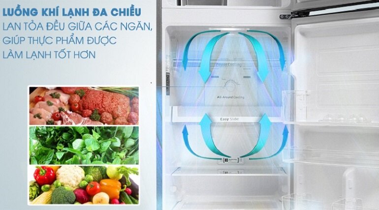 Tủ lạnh Samsung RT25M4033S8/SV 256 lít