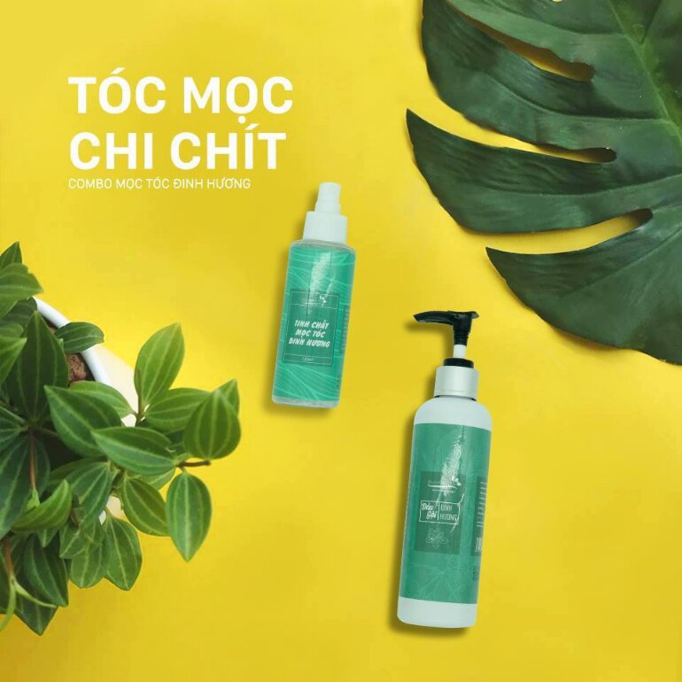 Thuốc xịt mọc tóc Đinh Hương Nhu