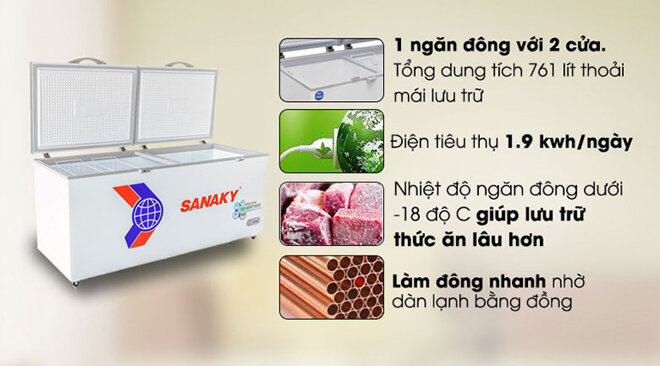 Tủ đông Sanaky 6899HY3