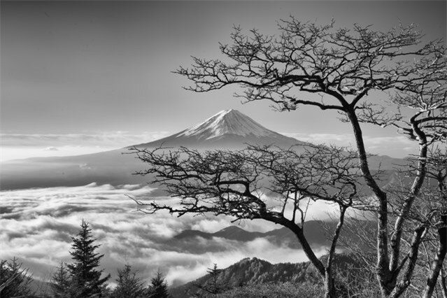 “The spirit of the tree”. November of last year. The lonely tree stared at Mt Fuji floating in the sea of ​​clouds. It seemed that a spirit has dwelled in the tree. I loved this wonderful tree. But! This September, when I visited here, this tree with wonderful branches had been cut with a saw from the roots! (Photo and caption by Takashi/National Geographic Photo Contest)