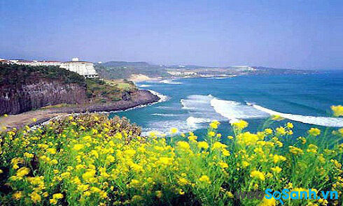Hòn đảo Jeju xinh đẹp