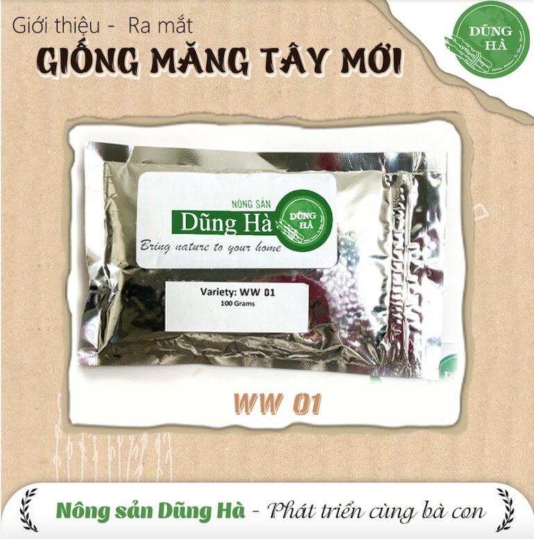 Nông sản Dũng Hà - Doanh nghiệp đưa măng tây và giống măng tây phát triển nở rộ trên thị trường