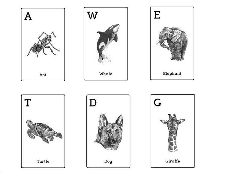 Cách tải ứng dụng Animal 4D  Download Free bộ animal alphabet Cards bản  đẹp  ISharevn  Tôi Chia Sẻ  Chúng Ta Chia Sẻ