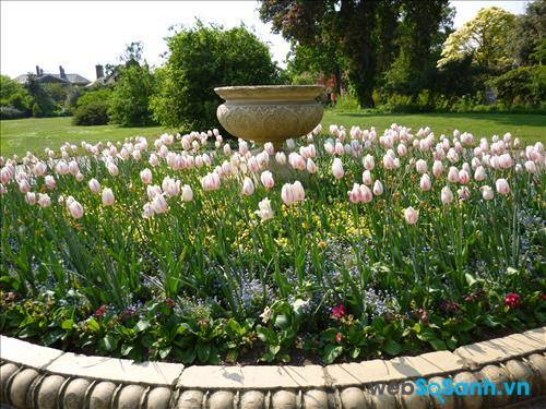 Hình ảnh sắc nét, cùng các chi tiết mịn màng thu được từ với tiêu cự 28 mm và ISO 100 Hình ảnh sắc nét, cùng các chi tiết mịn màng thu được từ với tiêu cự 28 mm và ISO 100