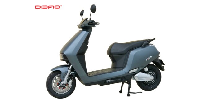 Dibao R1 2021