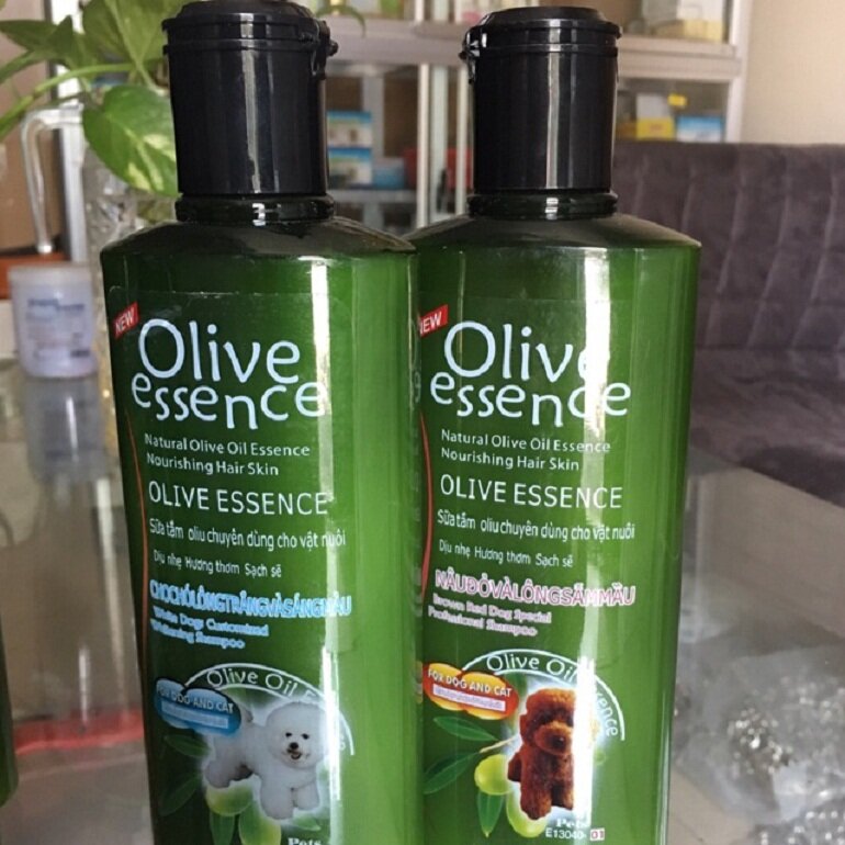 Sữa tắm cho chó poodle nâu đỏ Olive Essence Red-Dog Special