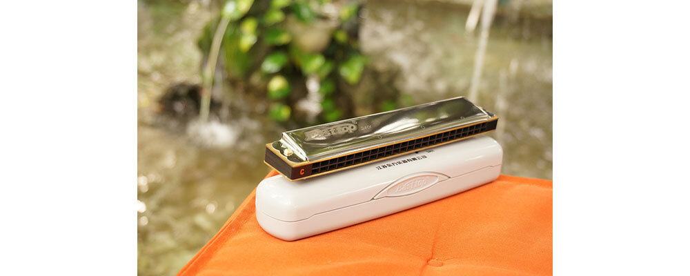 Các loại kèn Harmonica