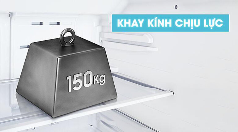 Khay kệ tủ lạnh Samsung RT19M300BGS/SV có khả năng chịu lực đến 150kg