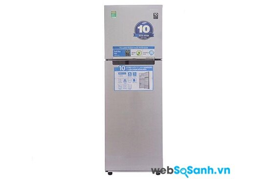 Tủ lạnh Samsung RT-25FARBDSA/SV (nguồn: internet)