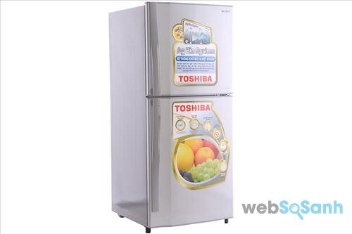 Tủ lạnh Toshiba S19VPPDS
