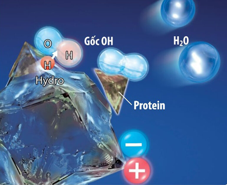 Cơ chế hoạt động Plasmacluter Ion ra sao ?