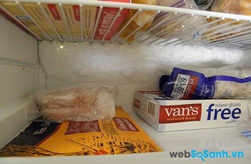 Tủ lạnh đóng tuyết không có quạt và chế độ tự xả đá (nguồn: internet)