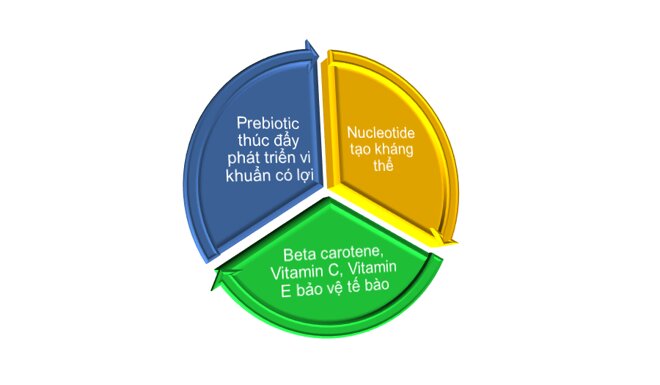 Hệ 3 tác động giúp bảo vệ bé tốt hơn