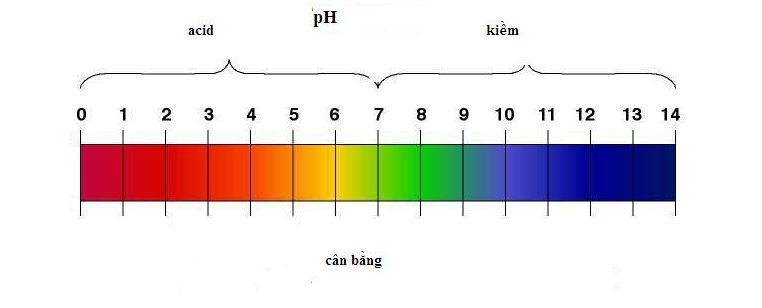 Thang đo độ pH