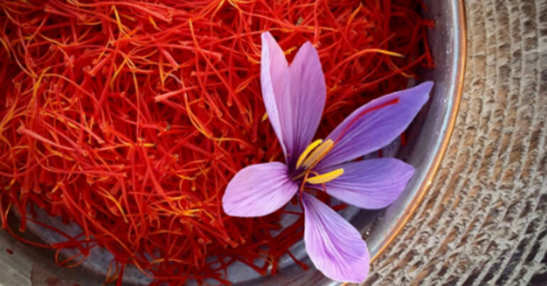Saffron là gì ? Nhụy hoa nghệ tây có tác dụng gì ? Cách sử dụng nhụy hoa nghệ tây như thế nào ?