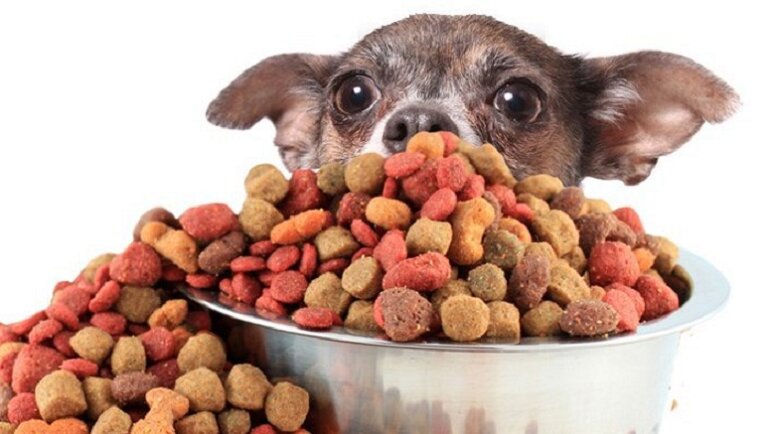 Choosing good dry dog ​​food is a difficult problem for many dog ​​owners