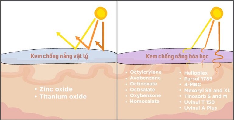 Kem chống nắng vật lý và kem chống nắng hóa học