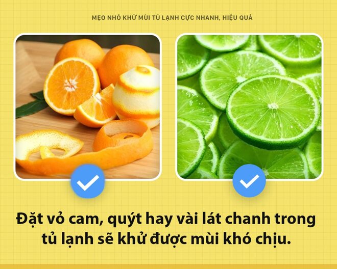 Vỏ cam, quýt hay bưởi có tác dụng giúp tủ lạnh bạn thơm và sạch khuẩn