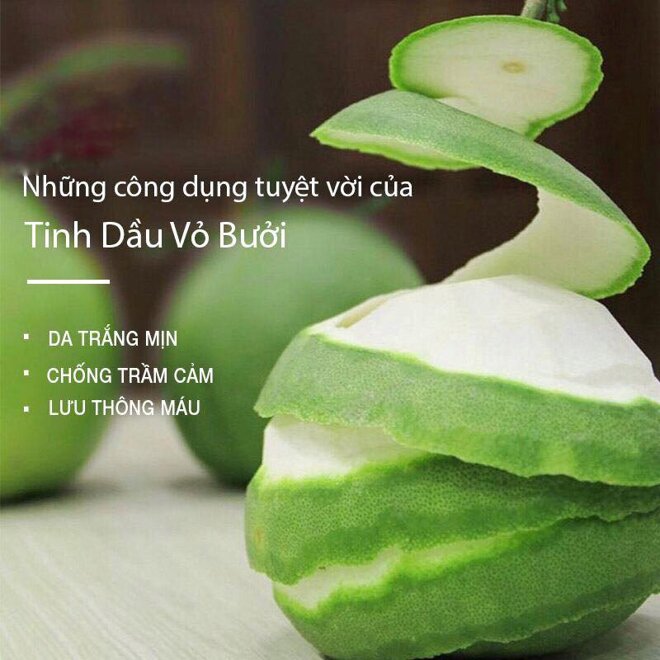 Hướng dẫn làm tinh dầu bưởi 