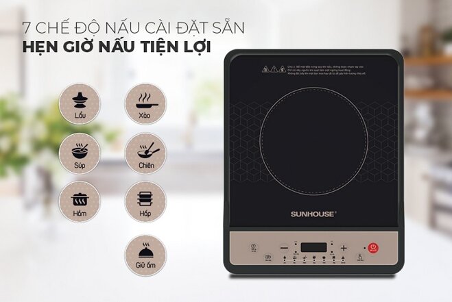 bếp từ mini