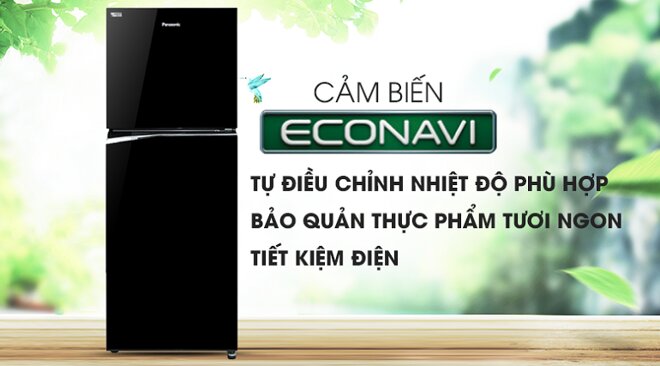 Tủ lạnh Panasonic BL300PKVN