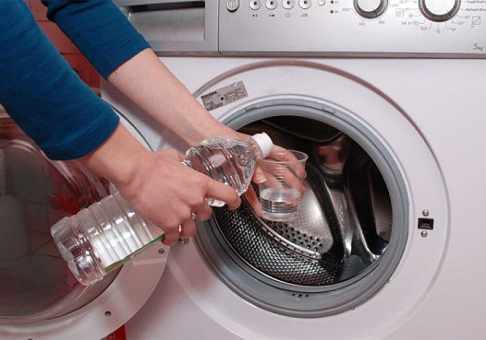 Vệ sinh máy giặt thường xuyên để tránh nấm mốc