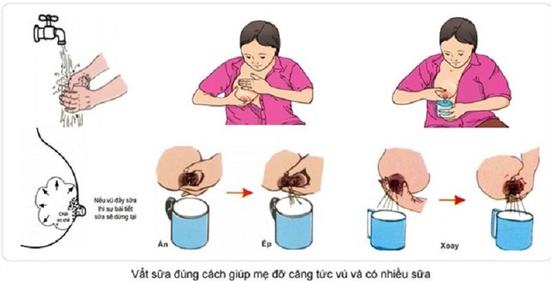 Gợi ý cách bảo quản và rã đông sữa mẹ đúng cách để bảo toàn dưỡng chất