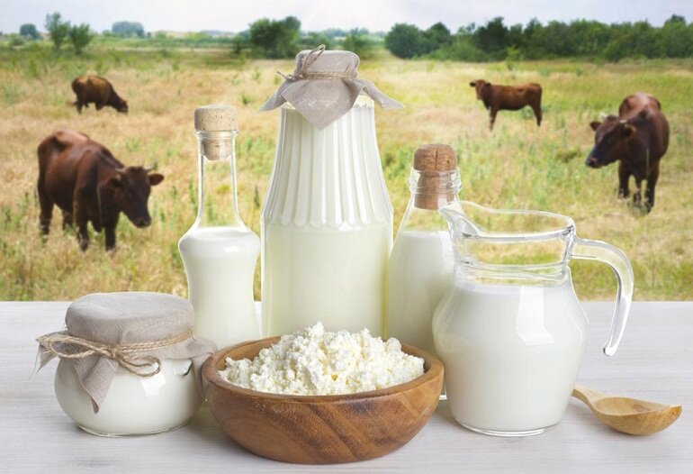 Sữa non cho bé từ bò bổ sung chế độ ăn uống cho trẻ em