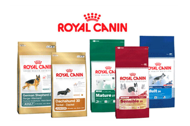 Thức ăn khô cho chó thương hiệu Royal Canin