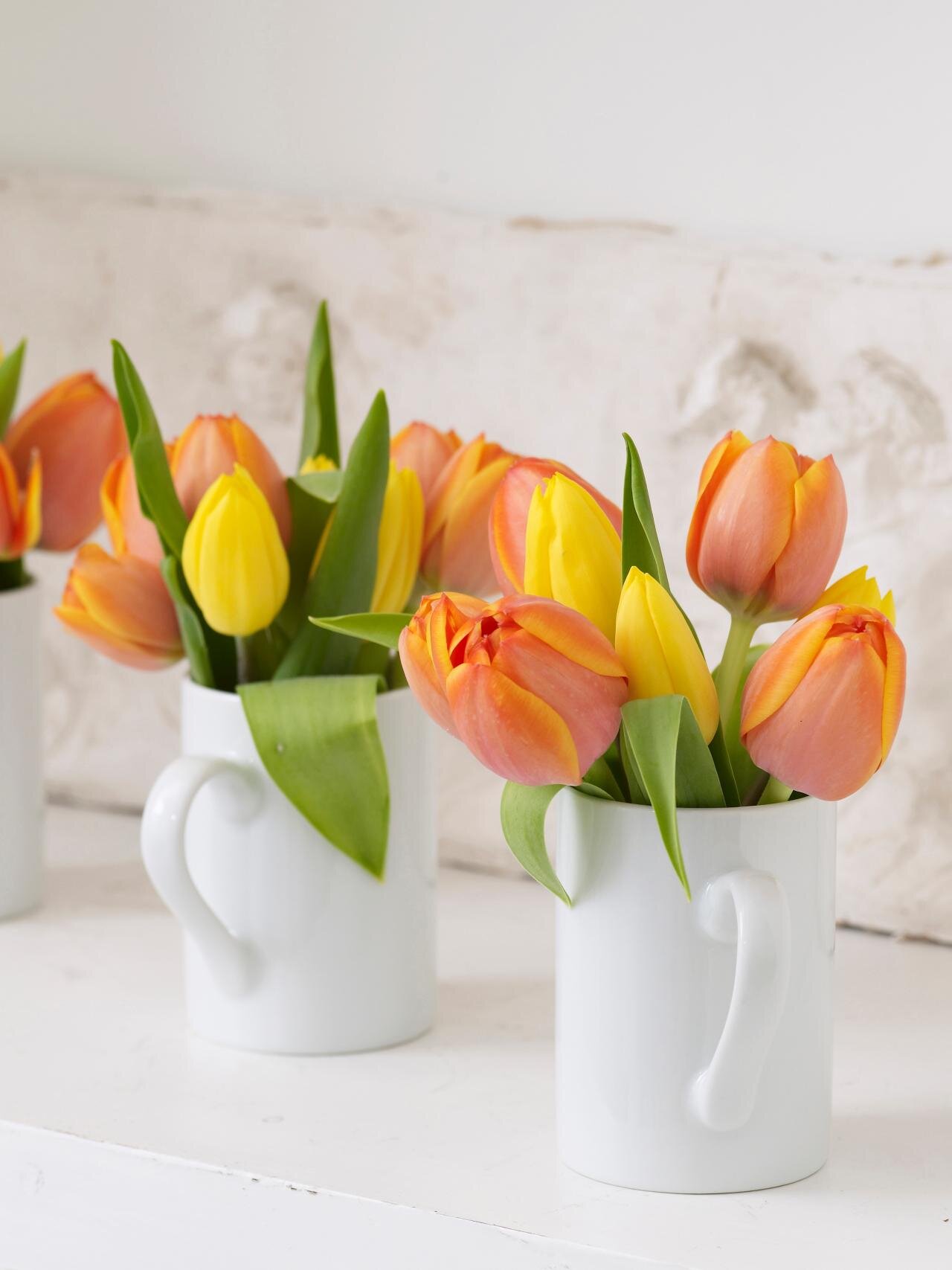 Những cách cắm hoa tulip đẹp mà đơn giản | websosanh.vn