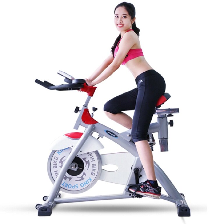 Máy tập đạp xe đạp Kingsport