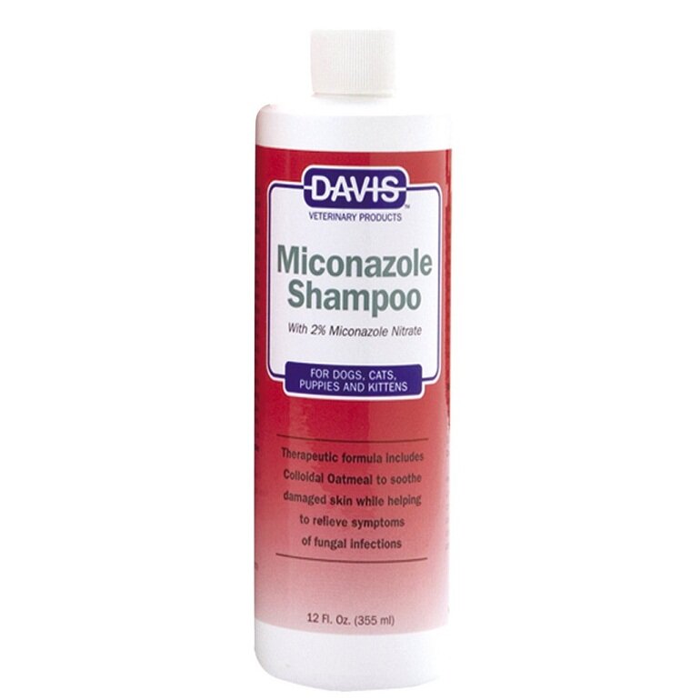 Davis Miconazole shower gel to treat skin fungus in cats