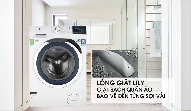 Lồng giặt Lily với thiết kế vô cùng đặc biệt