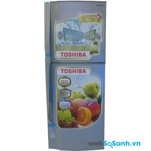 Toshiba GR-S19VPP (nguồn: internet)