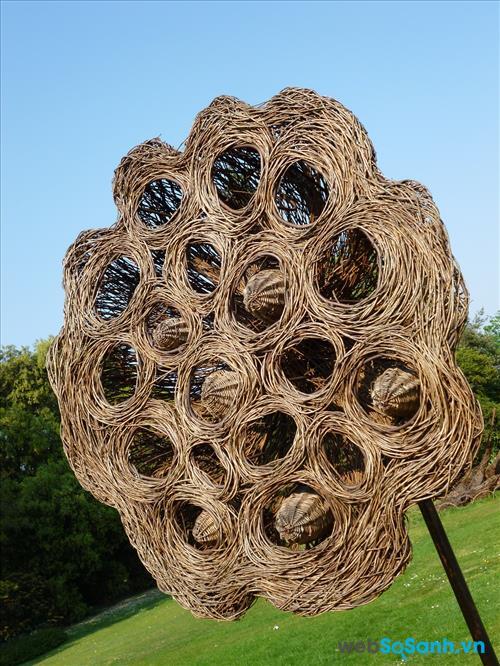 Hình ảnh sắc nét, cùng các chi tiết mịn màng thu được từ Lumix DMC-FH5 với tiêu cự 48 mm và ISO 100 Hình ảnh sắc nét, cùng các chi tiết mịn màng thu được từ Lumix DMC-FH5 với tiêu cự 48 mm và ISO 100