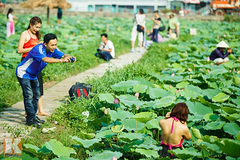 Kinh nghiệm chụp ảnh hoa sen Hà Nội là điều không thể bỏ qua cho bất kỳ nhà nhiếp ảnh nào. Với những gợi ý và kinh nghiệm quý giá, bạn sẽ có cơ hội tạo ra những bức ảnh vô cùng độc đáo và đẹp mắt. Hãy đến và khám phá vẻ đẹp độc đáo của hoa sen cùng với chúng tôi.