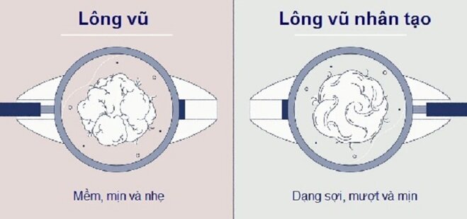 So sánh gối lông vũ nhân tạo và gối lông vũ tự nhiên