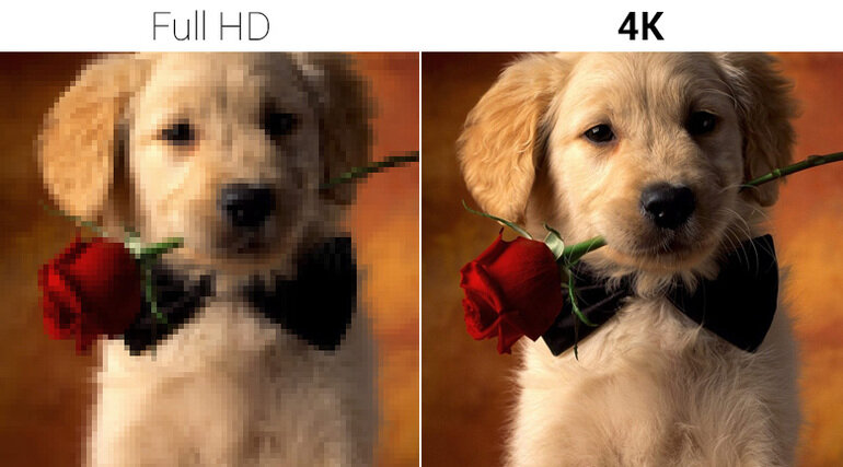 Độ phân giải 4K gấp 4 lần Full HD đi kèm công nghệ HDR cho hình ảnh sắc nét, trung thực.