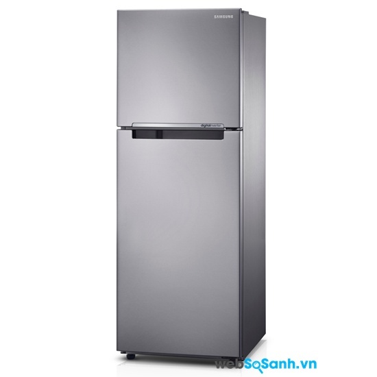 Tủ lạnh Samsung RT22FARBDSA/SV (nguồn: internet)