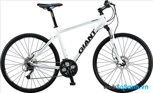 Hình dáng khung thường thấy của xe đạp Hybrid bike