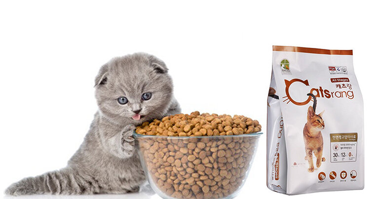 Thức ăn khô cho mèo con cũng được nhiều người lựa chọn