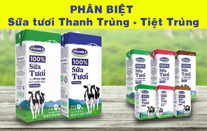 Sữa tươi cho trẻ 7 tuổi 