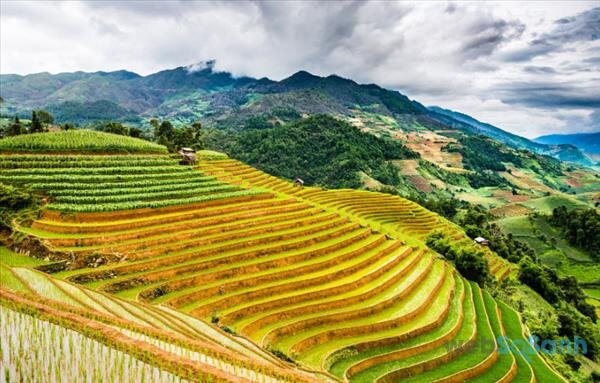 Cảnh sắc lãng mạn, hùng vĩ của thiên nhiên Sapa