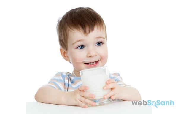 sữa bột sữa bột