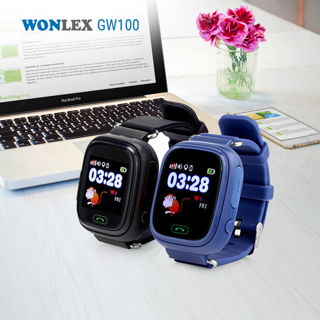 Wonlex GW100