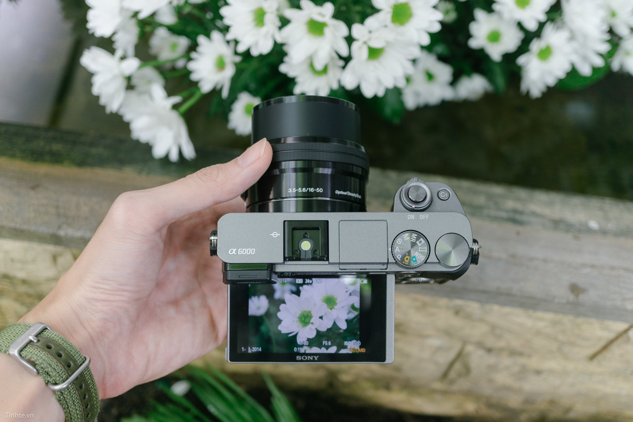 Chụp xóa phông với Sony a6500 đã trở nên dễ dàng hơn bao giờ hết. Với cải tiến đáng kể từ Sony a6000, chiếc máy ảnh này đem lại chất lượng ảnh tuyệt vời, độ phân giải cao và khả năng chụp xóa phông cực kỳ mượt mà. Chỉ với vài thao tác đơn giản, bạn có thể tạo ra những bức ảnh đẹp lung linh, tinh tế, mà vẫn giữ được chi tiết sắc nét. Hãy trải nghiệm và khám phá thế giới đầy màu sắc với Sony a6500!