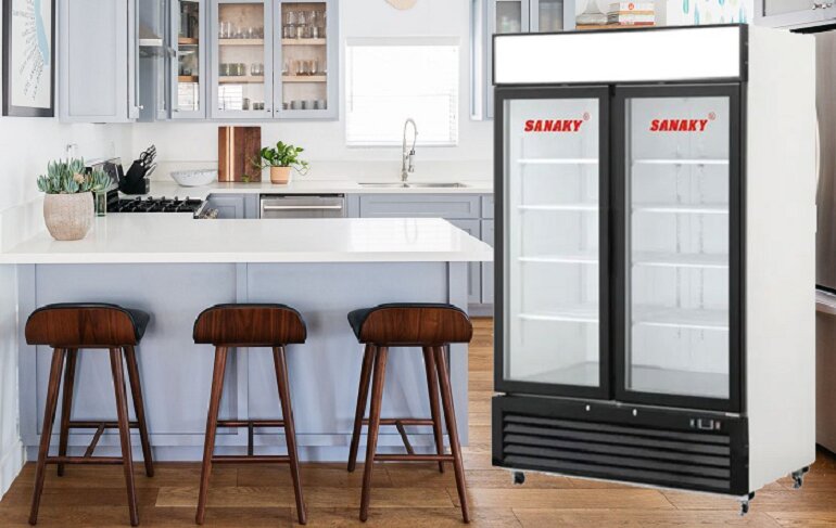 Tủ đông lạnh Sanaky